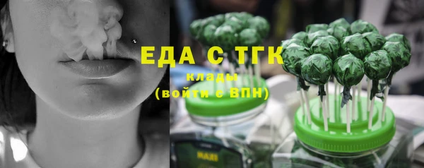 тгк Дмитровск