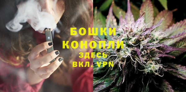 тгк Дмитровск