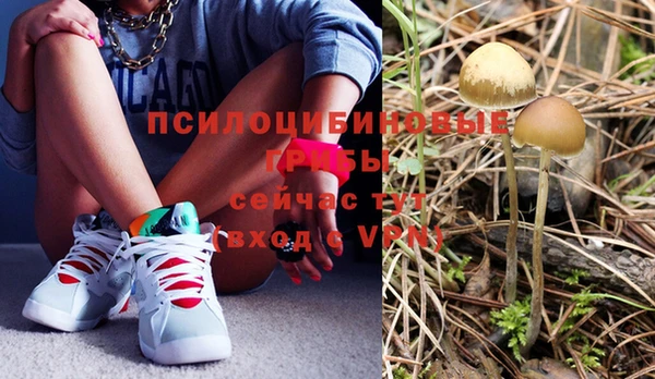 тгк Дмитровск