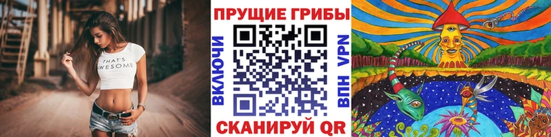Галлюциногенные грибы Psilocybine cubensis  Купить закладки  Соликамск 